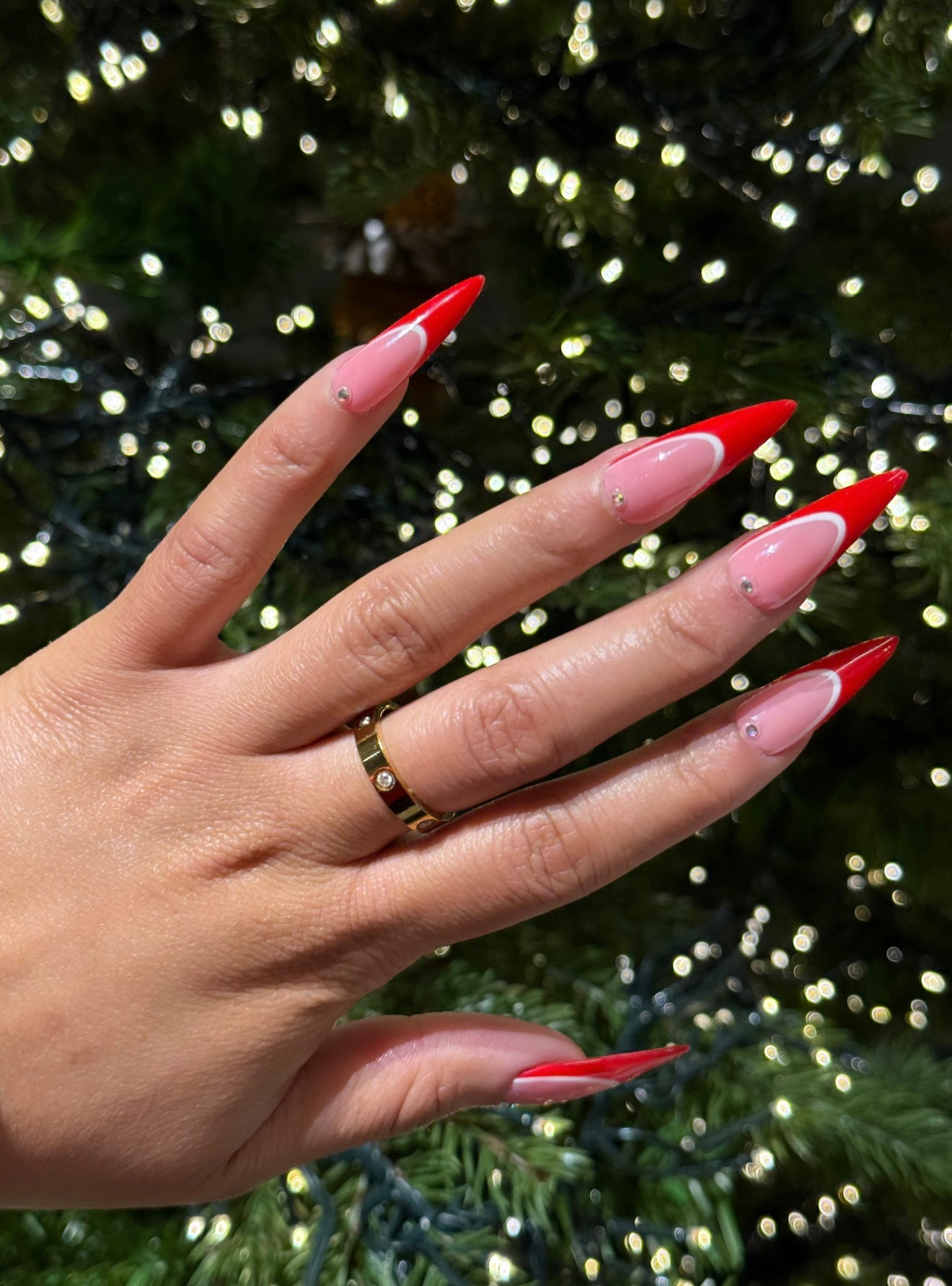 A Very Rich Christmas | 24 NAILS PRESS-ON SET